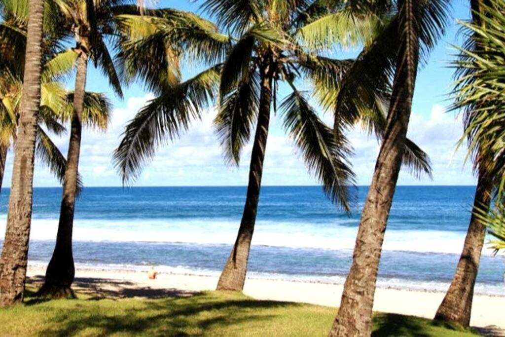 Maison De Vacances, Decouvrir Le Sud De La Reunion Петит-Иль Экстерьер фото